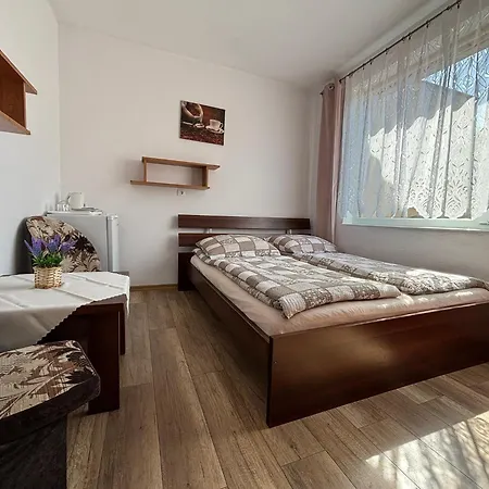 Goscinne Floks Guest house *