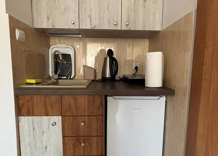 Guest house Goscinne Floks 3*