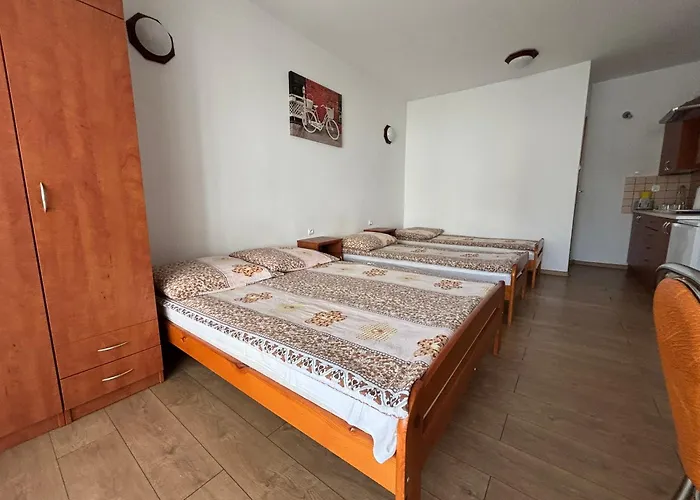 Goscinne Floks Guest house 3*